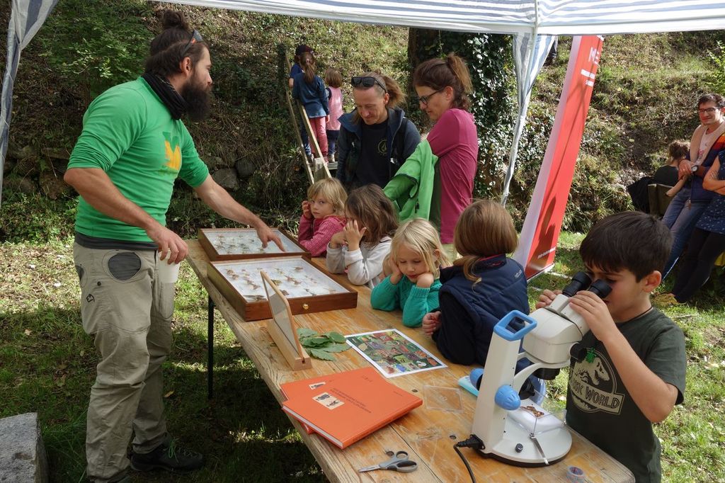 Herbstfest 2020 im Mühlauer Fuchsloch