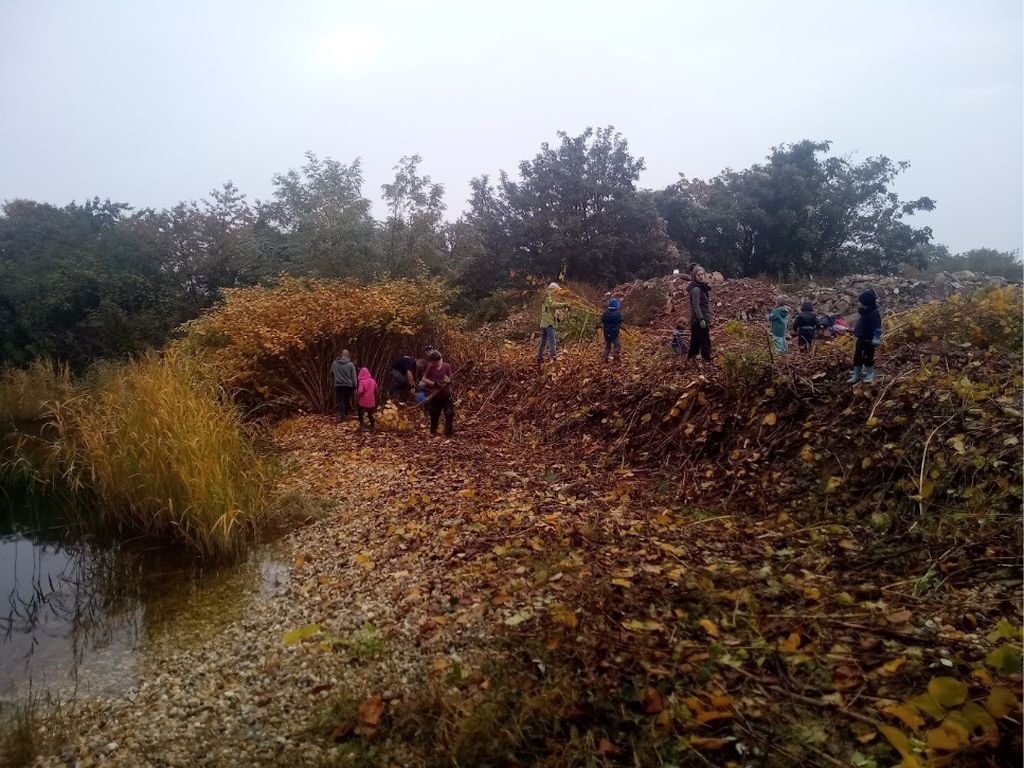 ÖNJ-Gruppe Purbach am 24.10.2020 beim Pflegeeinsatz in Breitenbrunn